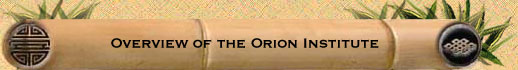 Overview of the Orion Institute