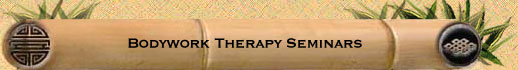 Bodywork Therapy Seminars